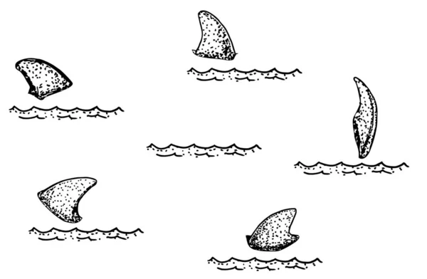 五只鲨鱼鳍伸出水面 鱼翅伸出水面 — 图库矢量图片