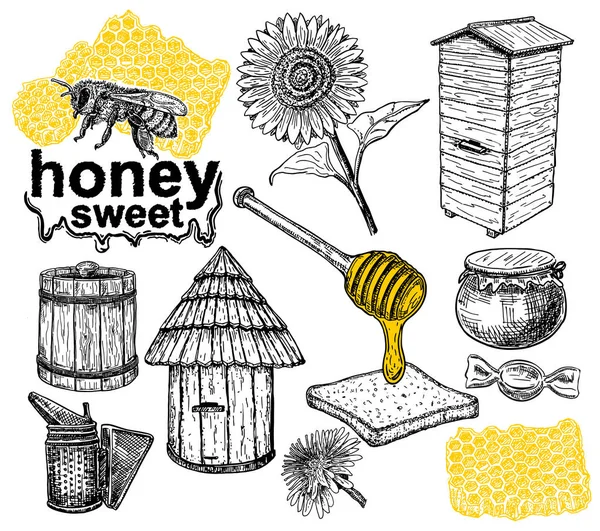 Bal ve Arıcılık vektör skeçler koleksiyonu. Beyaz arka planda el çizimleri. bal seti, organik doğa ürünleri. Vektör 