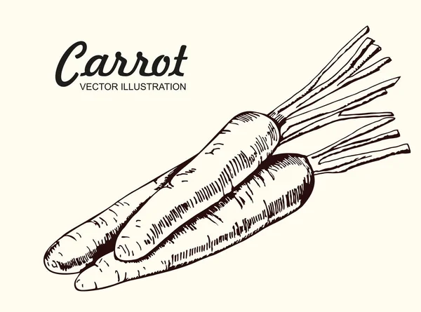 ニンジンを手描き 有機エコ野菜の背景ベクトルスケッチスタイルのイラスト — ストックベクタ