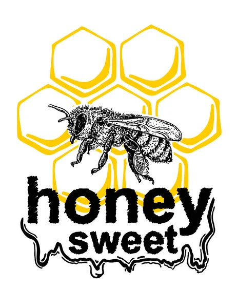 Ręcznie Rysowana Ilustracja Pszczół Koncepcja Pszczelarstwa Produkcji Miodu Vector Vintage — Wektor stockowy