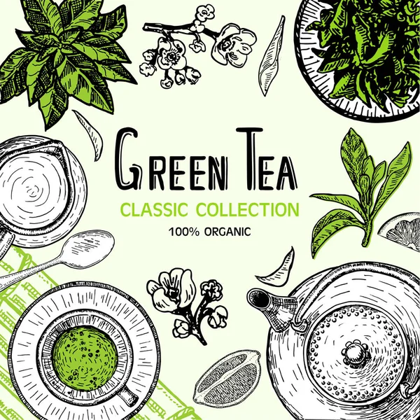 Green Tea Mate Tea Matcha Tea Vector Frame Tea Sketch — Stock Vector