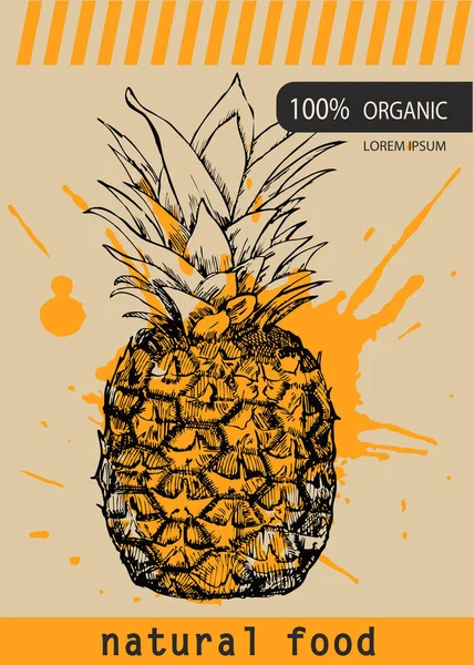Plantilla Diseño Piña Fresca Fruta Botánica Piña Grabada Ilustración Vectorial — Vector de stock