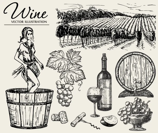 Vektor Set Von Weinprodukten Vektorillustration Skizzenstil Handgezeichnete Gestaltungselemente — Stockvektor