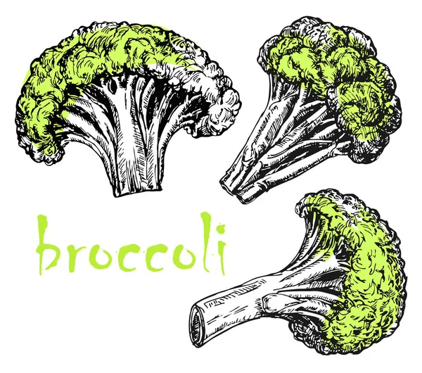 Broccoli Desenhado Mão Ilustrações Vetoriais Conjunto Brócolos Isolados Desenho Comida — Vetor de Stock
