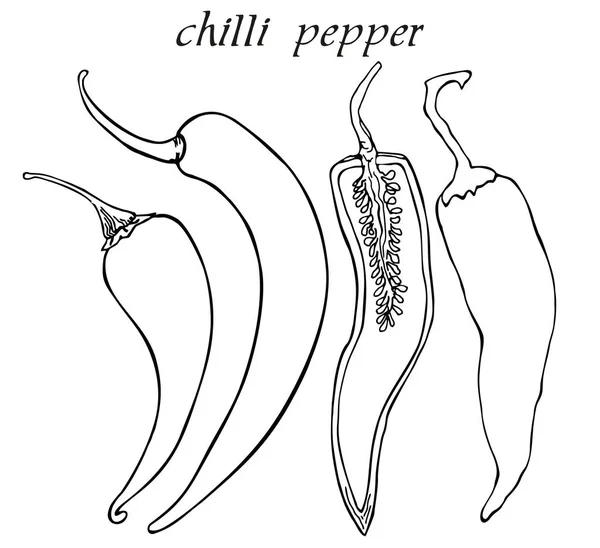 Chilischote Ganze Und Halbierte Chili Vektor Handgezeichnetes Gemüse Isoliert Auf — Stockvektor