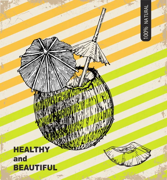 Taze hindistan cevizi tasarım şablonu. Botanik meyve. Oyulmuş hindistan cevizi. Vektör çizimi