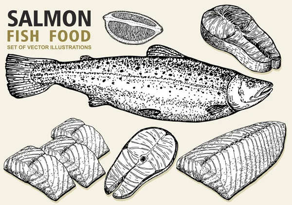 Somon vektör illüstrasyonayarlayın. Kroki tarzında fileto, biftek ve balık somon. Deniz ürünleri ürün tasarımı. Dilimler, fileto, kırmızı balık biftek vektör toplama