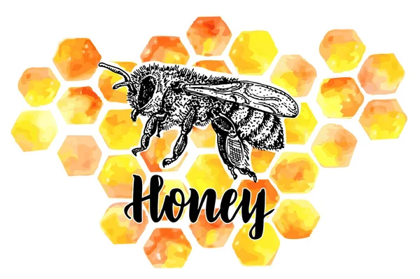 ハニカム付きの蜂ベクトルシンボル オーガニック蜂蜜のロゴ ラベル タグデザイン要素 蜂蜜パッケージ バナー ラッピングのコンセプト 抽象的な食べ物の背景 ミツバチのベクトル彫刻イラスト — ストックベクタ