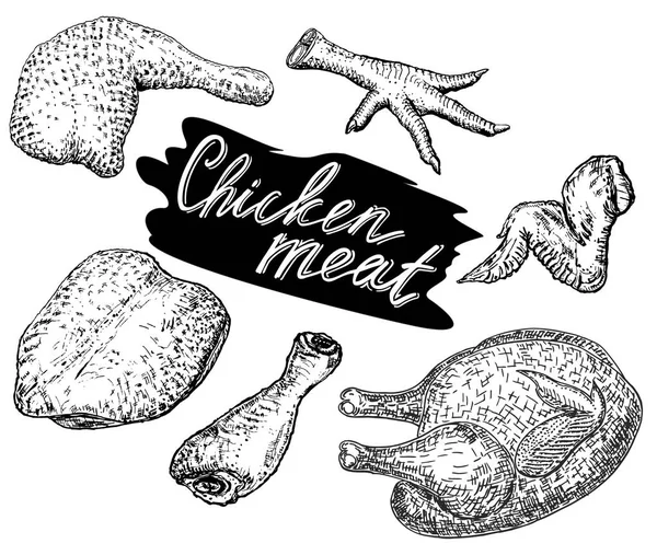 Hentes Üzlet Darabok Csirkehús Vázlat Élelmiszer Vektor Illusztráció — Stock Vector