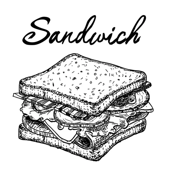 Sandwich Umrisszeichnung Handgezeichnete Skizzenvektorillustration — Stockvektor