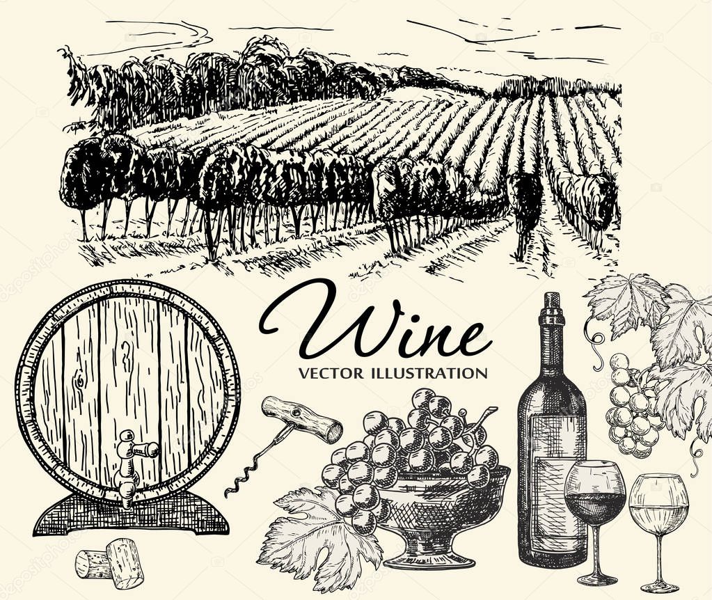 Vector set of vine products. Vector illustration in sketch style. Hand drawn design elements.