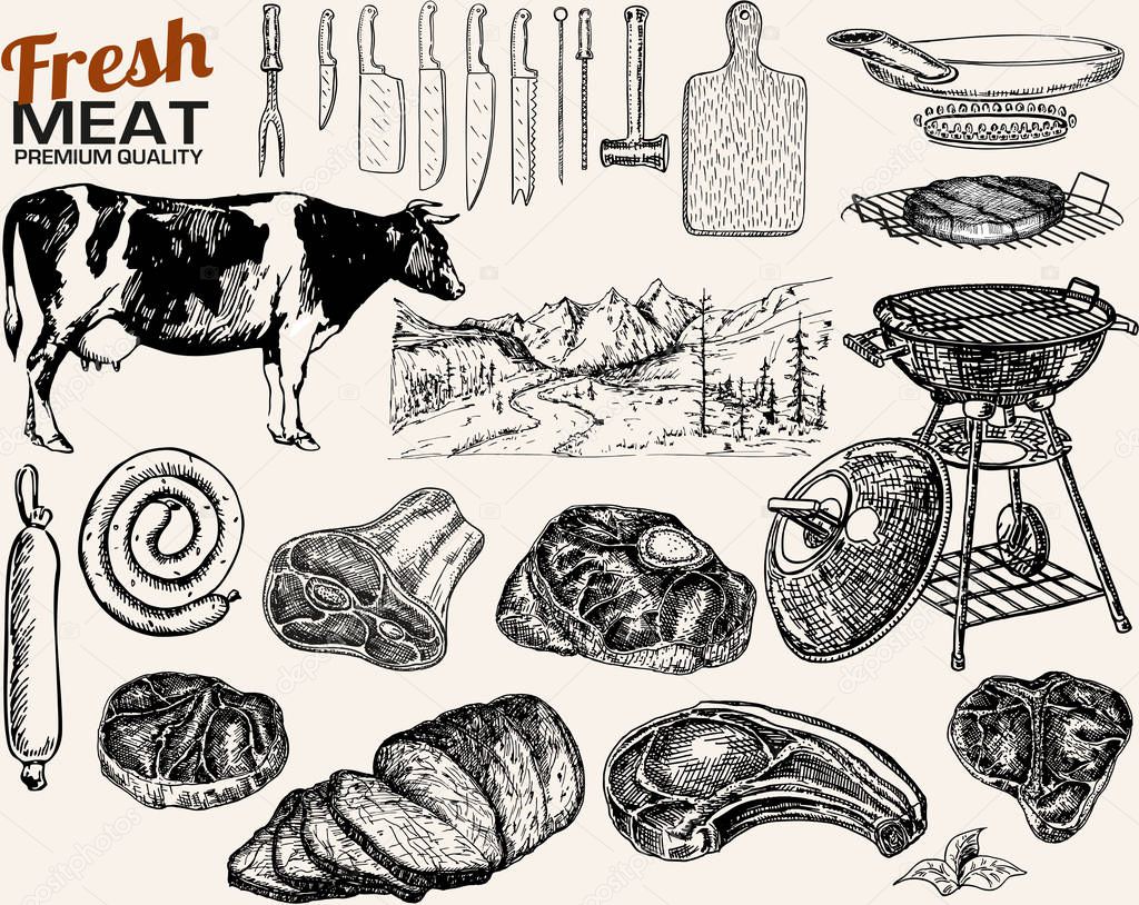 Beef meat. Vector collection of sketches on the theme of cooking meat. Isolated hand drawings