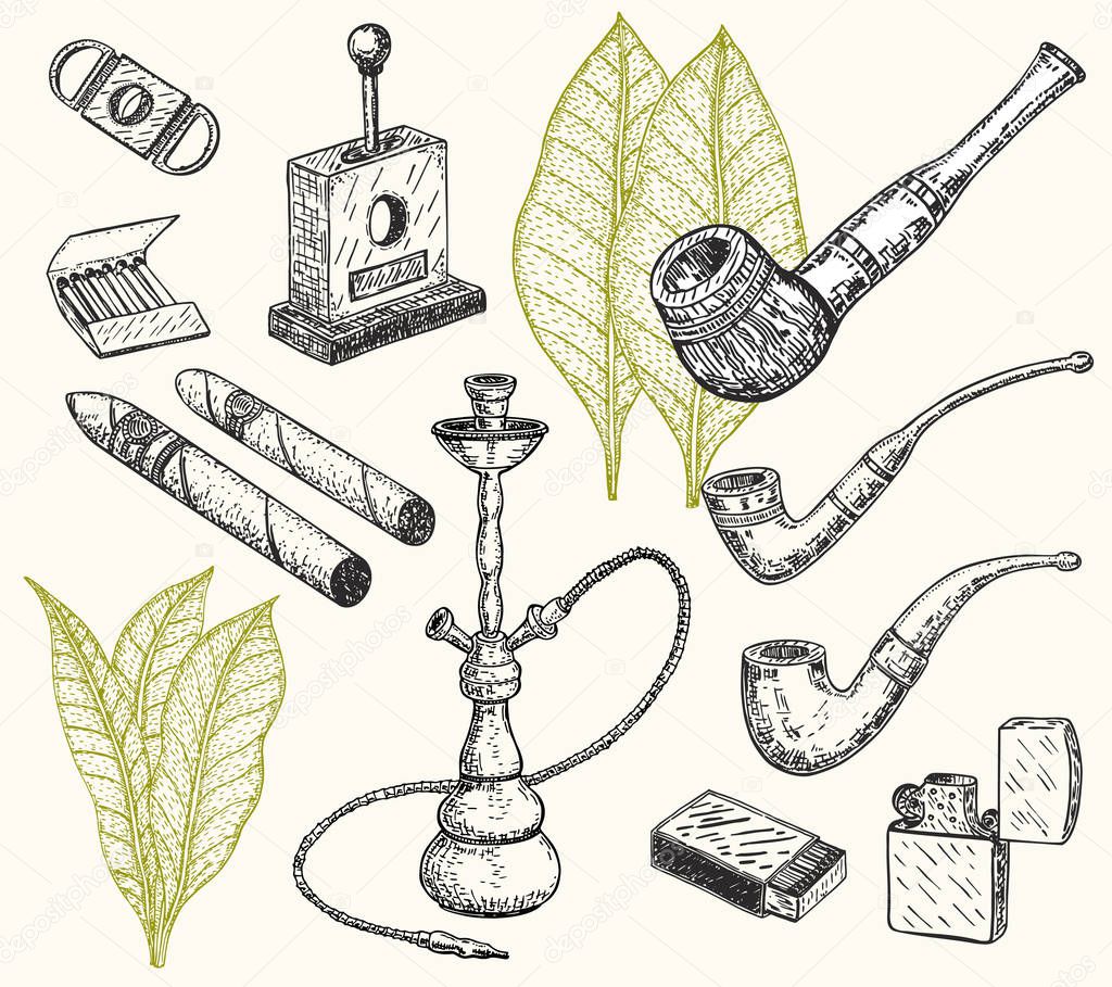 Tobacco And Smoking Sketch Set. Hand drawn cigars, hookah, matches, tobacco leaves, Pipe and smoking accessories 