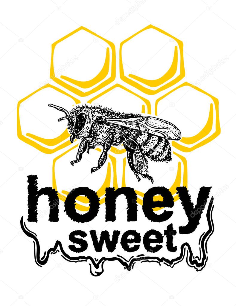 Hand drawn illustration of bee. The concept of beekeeping, honey production. Vector vintage element for graphic design