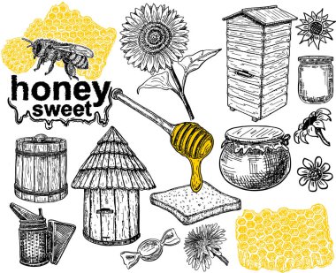 Bal ve Arıcılık vektör skeçler koleksiyonu. Beyaz arka planda el çizimleri. bal seti, organik doğa ürünleri. Vektör 