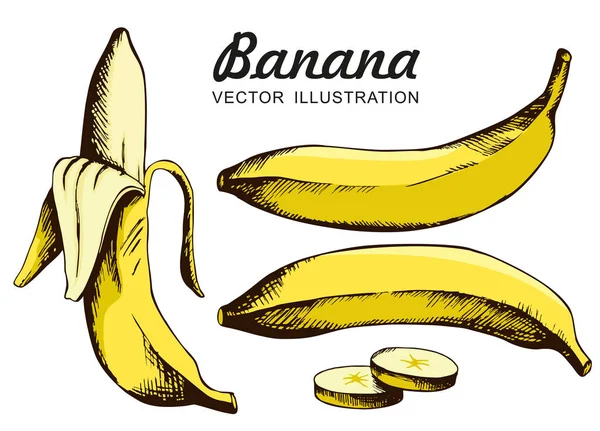 Векторный Набор Жёлтых Бананов Один Банан Очищенный Банан Ломтики Банана — стоковый вектор