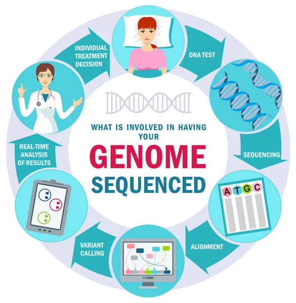 ゲノムシーケンシング Dna ゲノムまたは遺伝子進化の分子らせん パーソナライズされた医療 インフォグラフィック ナノテクノロジーの健康 生化学研究室ヒトDnaを用く研究室 — ストックベクタ