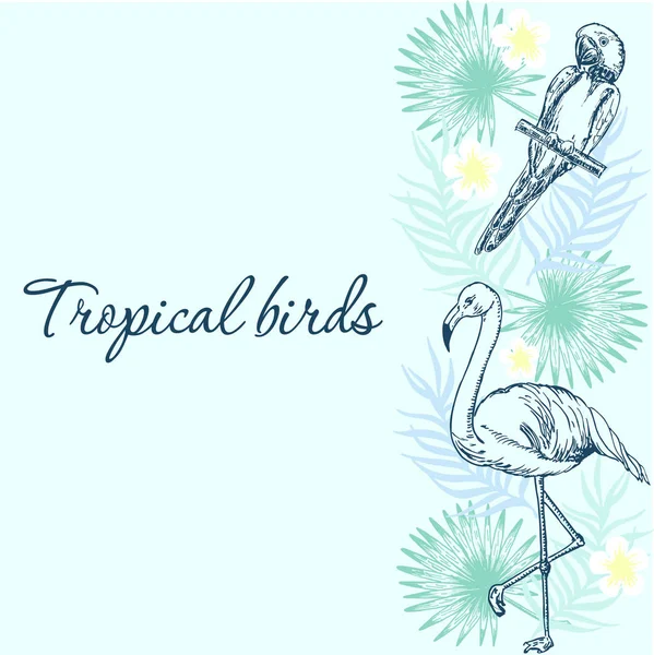 Exotische Vögel Rahmen Muster Ein Tropische Vögel Und Blätter Tropischer — Stockvektor