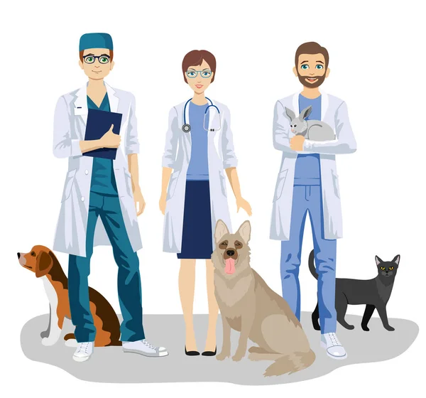 Veterinário Equipe Veterinária Com Cães Bonitos Gato Coelho Cuidados Para —  Vetores de Stock