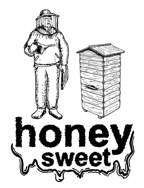 Vektor Honung Set Vintage Handritad Illustration Biodlaren Och Hive Skissen — Stock vektor