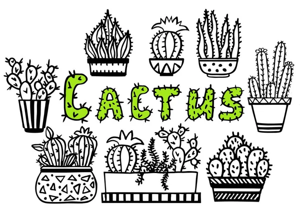 Cactus Vectoriales Dibujados Mano Las Macetas Conjunto Cactus Sobre Fondo — Vector de stock