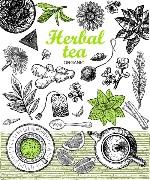 Herbal Tea Shop Set Vetor Ilustração Projeto Vetorial Com Ingredientes — Vetor de Stock