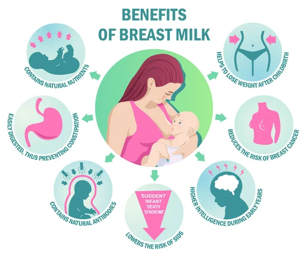 母乳喂养儿童的好处 信息图表 世界母乳喂养日 产妇信息图模板 母乳喂养母亲的福利 关于母乳喂养事实的信息图 — 图库矢量图片
