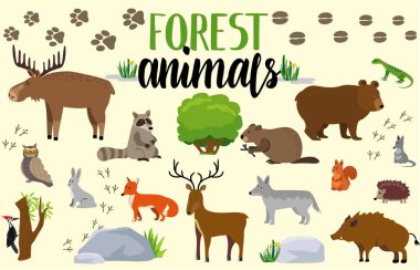 Orman hayvanları afiş, sadece vektör illüstrasyon 