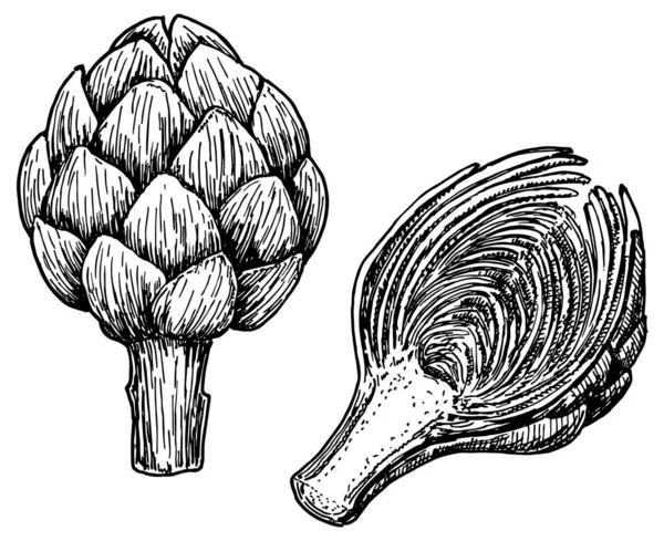 Artichokes Hanya Vektor Ilustrasi - Stok Vektor