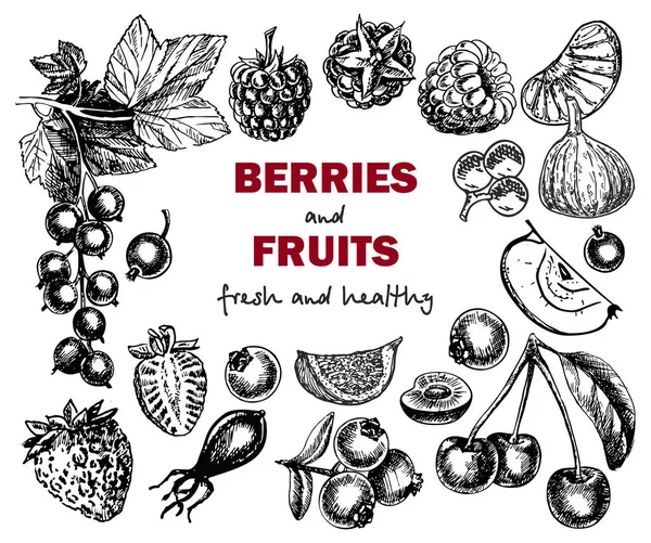 Banner Mit Beeren Und Früchten Einfach Vektorillustration — Stockvektor