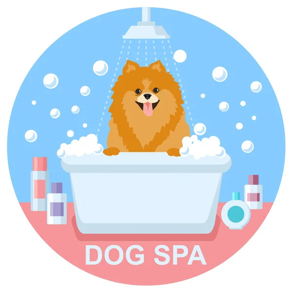 dog spa, simply vector illustration