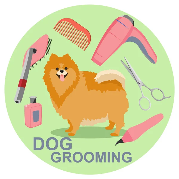 Dog grooming cartoon Stock Photos, Royalty Free Dog grooming cartoon