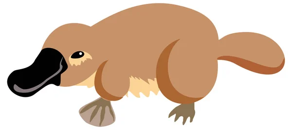 Platypus Prostu Wektor Ilustracja — Wektor stockowy