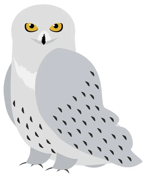 Polar Owl Gewoon Vector Illustratie — Stockvector