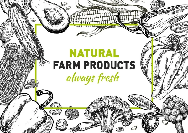 Natural Farm Produkter Banner Helt Enkelt Vektor Illustration — Stock vektor