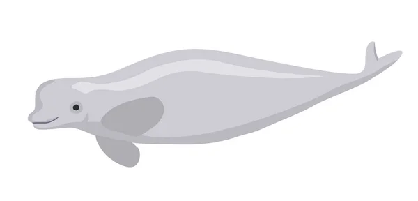 Ballena Beluga. Ilustración plana del icono del vector de ballena blanca — Vector de stock