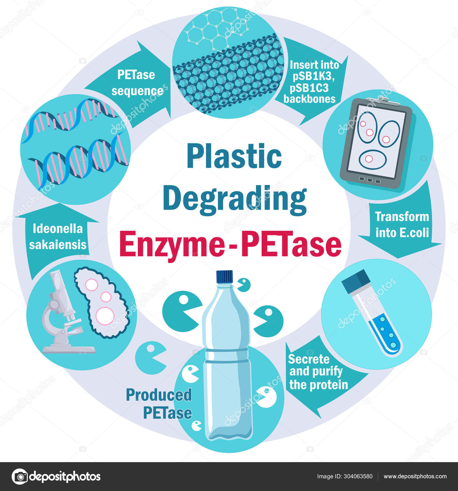Plastic Degrading Enzyme PETase. Infographic. Plastic pullution