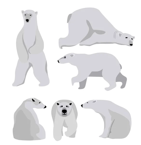 Set of adult polar bears. Northern animals. The polar bear sits and rests. — Stock Vector