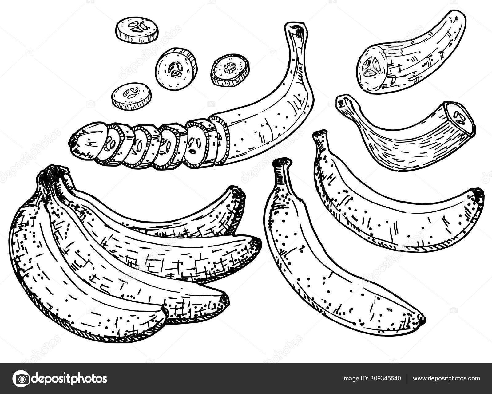 Banane Art vectoriel, icônes et graphiques à télécharger gratuitement