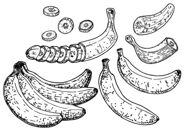 バナナセットベクトルスケッチ。孤立した手描きの皮バナナ、皮をむいたバナナとスライスした部分 — ストックベクタ