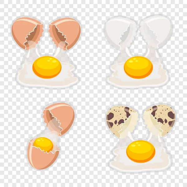 Eggs on transparent. Fried egg set isolated, Fluid egg and shell. — Stock Vector