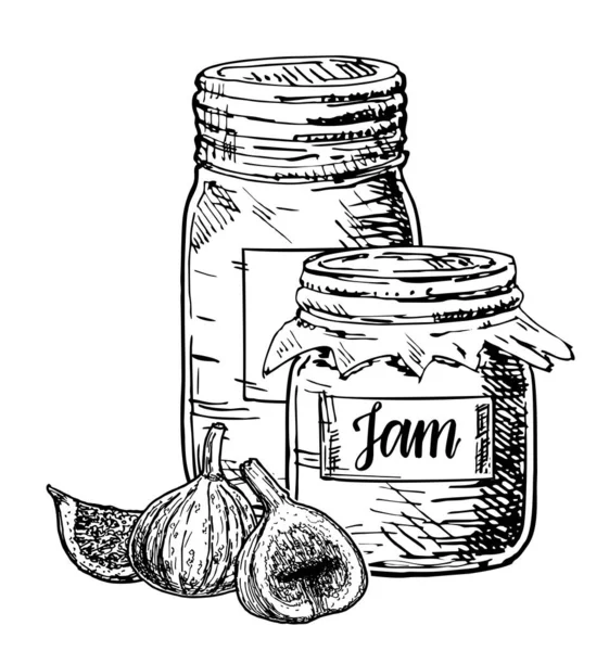 Fig mermelada vector dibujo. Jalea de frutas y mermelada. Frascos de vidrio con mermelada de higo . — Archivo Imágenes Vectoriales