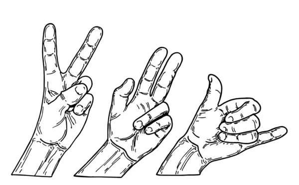 Vector set of hands and gestures - sketch illustration. Different hands gestures of human line icons set. — Stock Vector