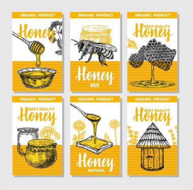 Vektör eli çizilmiş bal posteri. Eskiz tarzı. Elle çizilmiş 6 sevimli kart şablonu koleksiyonu. Kart tasarım şablonu. Retro arkaplan.