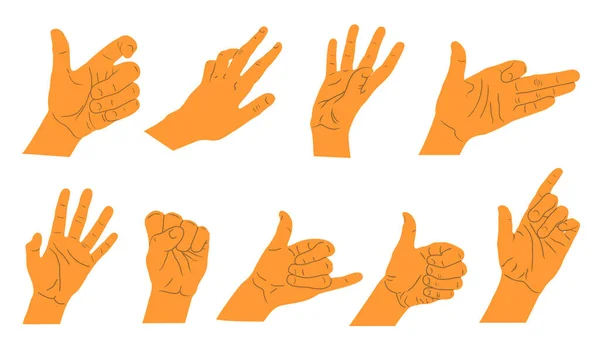 Expressions des mains et des bras. Les mains signent grand ensemble. Les gestes de la main dans différentes positions. Mains vectorielles montrant et pointant, tenant et représentant. — Image vectorielle