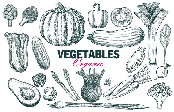 一套各种手工制作的蔬菜.不同食物的素描。有机健康食品。素描象征蔬菜。与白种人隔离 — 图库矢量图片