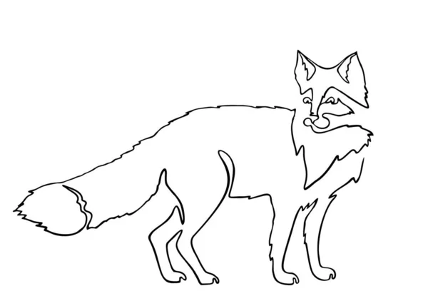 Kontinu satu garis menggambar Fox. Garis hitam terus menerus menggambar pada latar belakang putih. Logo of the Fox. Ilustrasi vektor - Stok Vektor