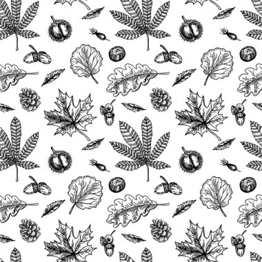 Kestaneler pürüzsüz desen. Kestane yaprakları ve meyveler kusursuz bir arkaplan çizer.