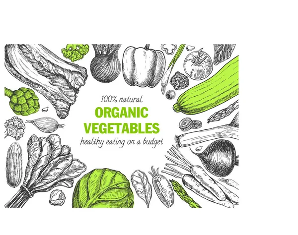 Diseño de tarjetas de alimentos vegetales orgánicos. Diseño de menú de mercado de agricultores. Cartel de alimentos orgánicos. Vintage dibujado a mano ilustración vector boceto. — Vector de stock