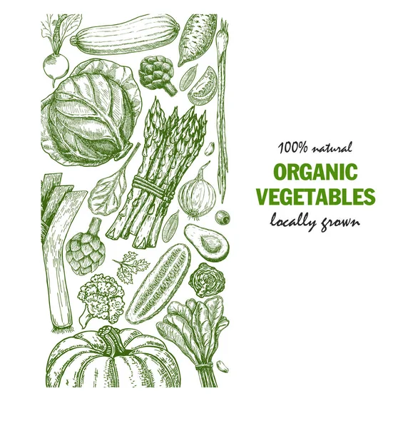 Vegetais orgânicos design de cartão de comida. Farmers design de menu de mercado. Cartaz de comida orgânica. Vintage mão desenhada esboço vetor ilustração . —  Vetores de Stock